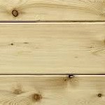 świerk skandynawski