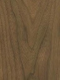 orzech amerykanski 1