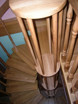 okolice ZAMOŚCIA - schody dąb naturalny