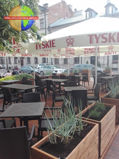 ZAMOŚĆ - TARAS ŚWIERK EUROPEJSKI KOLOR ORZECH