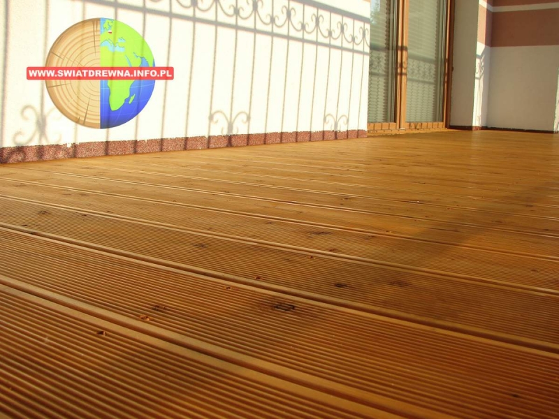 PŁOSKIE - TARAS BALKON MODRZEW SYBERYJSKI KOLOR MODRZEW