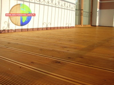 PŁOSKIE - TARAS BALKON MODRZEW SYBERYJSKI KOLOR MODRZEW