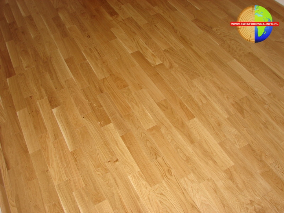 ZAMOŚĆ - DĄB - PARKIET SZCZOTKOWANY LAKIER CZTEROSTRONNA FAZA
