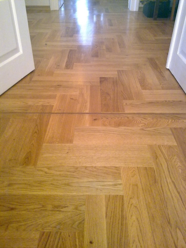 KALIN&Oacute;WKA okolice ZAMOŚCIA - parkiet dąb classic