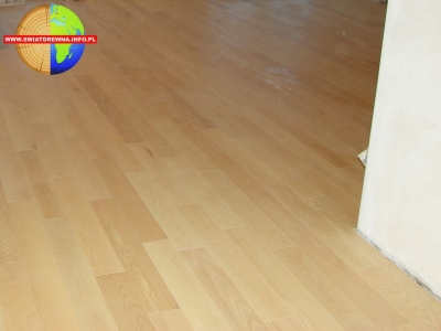 BISZCZA - JESION ELEGANCE - DESKA SZCZOTKOWANA LAKIER CZTEROSTRONNA FAZA