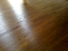 okolice ZAMOŚCIA - parkiet dąb czarny olejowosk