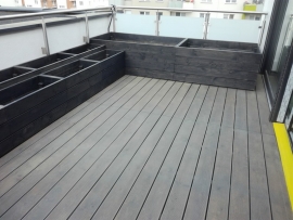 RZESZ&Oacute;W - TARAS MODRZEW SYBERYJSKI KOLOR GRAFIT