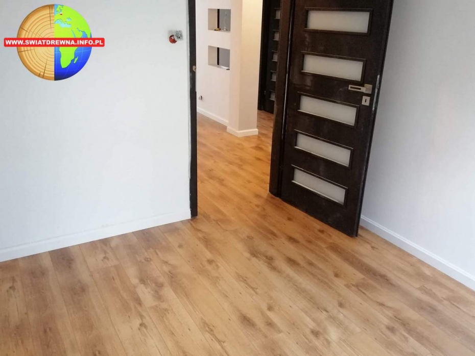 SENSA DĄB NEWPORT BERESTECKI