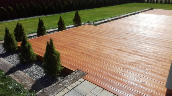 SKOK&Oacute;WKA OKOLICE ZAMOŚCIA - TARAS MODRZEW KRAJOWY KOLOR MODRZEW