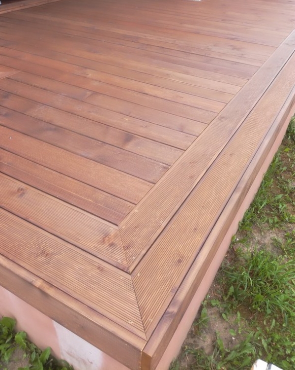 KRASNYSTAW - TARAS MODRZEW SYBERYJSKI KOLOR ORZECH