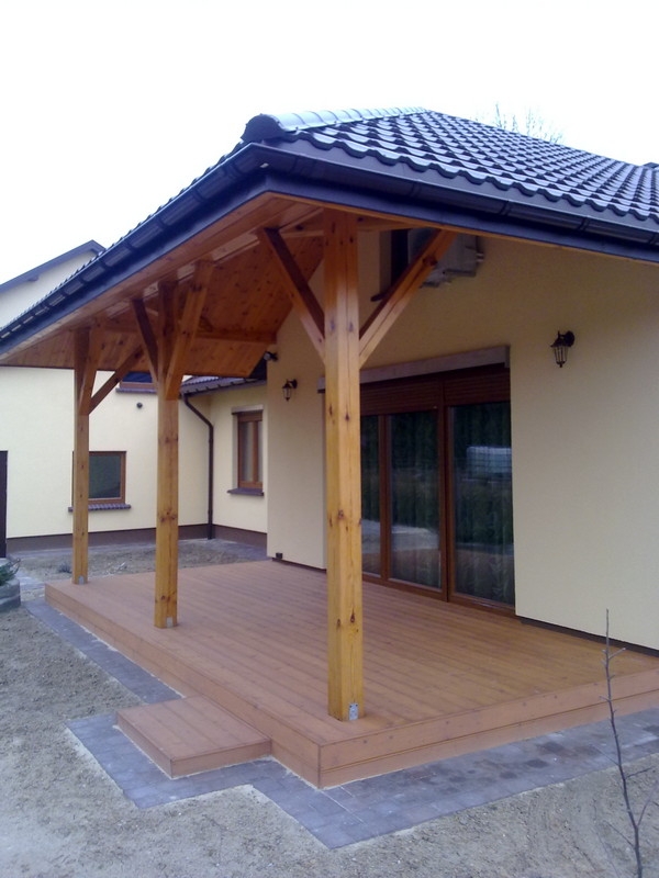 ZAMOŚĆ - TARAS MODRZEW SYBERYJSKI KOLOR MODRZEW