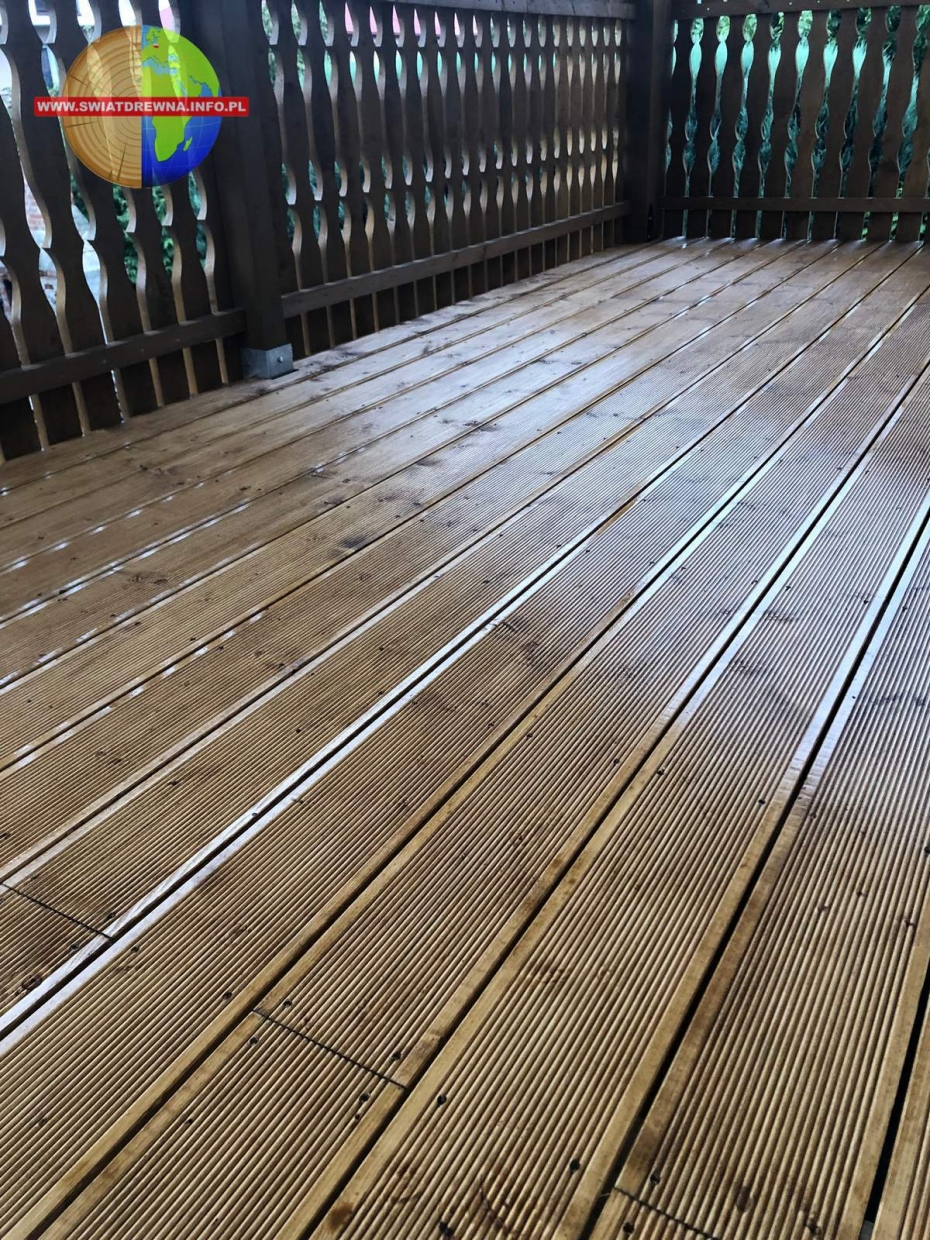 BIŁGORAJ - TARAS ŚWIERK EUROPEJSKI KOLOR ORZECH