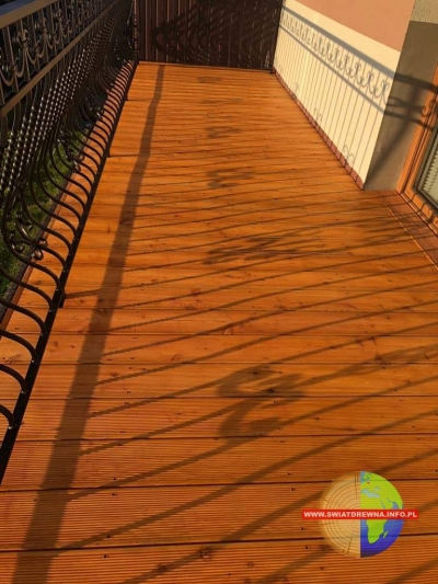 PŁOSKIE - TARAS MODRZEW SYBERYJSKI KOLOR MODRZEW