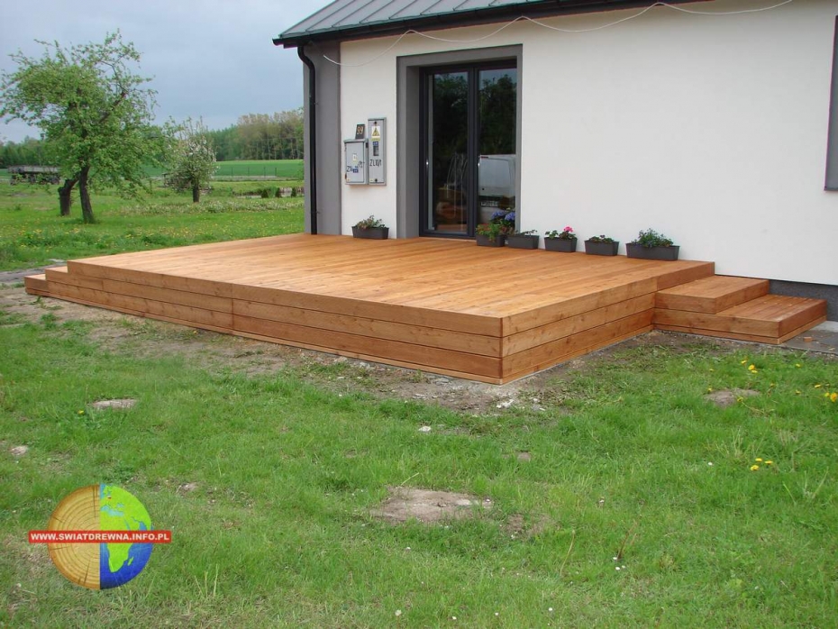 TYSZOWCE - TARAS MODRZEW SYBERYJSKI KOLOR TEAK