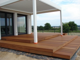 KRAŚNIK - TARAS EGZOTYCZNY BANGKIRAI